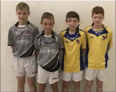  ??  ?? The Under-11 doubles finalists from Coolgreany and Taghmon.