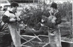  ??  ?? Des travailleu­ses de la pêche nettoient le matériel pour récolter des poissons ou des crustacées. Où? Quand? Et pour quelle entreprise? Seul indice : est écrit à la main « Picadilly Seafoods » sur un bout de papier qui traînait avec cette photo dans les archives du Gaboteur...