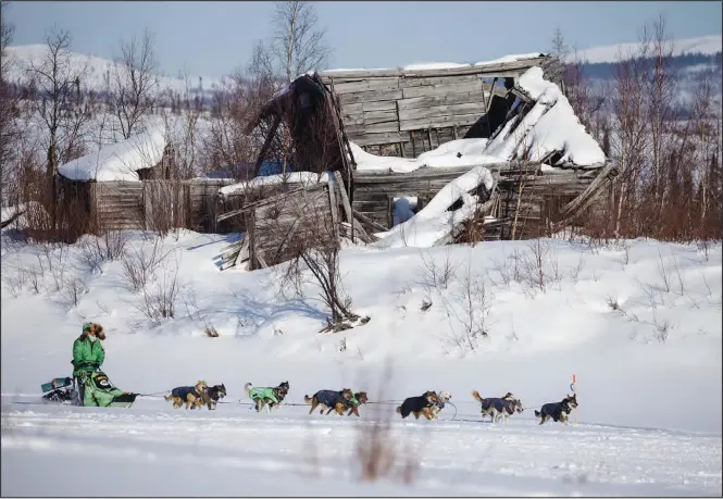  ?? Photos by The Iditarod/David Poyzer ?? IDITAROD— Ryan Redington, grandson of Iditarod co-founder Joe Redington Sr., runs his dog team into the Iditarod checkpoint. He finished the race on Monday afternoon, in seventh place.