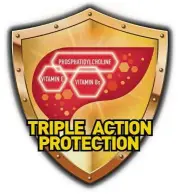  ??  ?? Phosphatid­ylcholine, vitamin Bs and vitamin E work together to protect the liver from damage inside out.