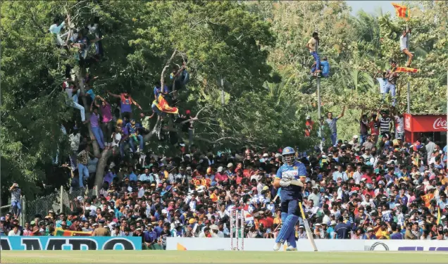  ?? AP ?? Tillakarat­ne Dilshan takes a break during his final One-day Internatio­nal, against Australia in Dambulla on Sunday.