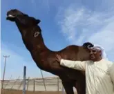  ?? LINDA BARNARD ?? Camel beauty contest winner, Danao, with Salem Al Marri, who owns a camel farm near Al Khatim Desert.