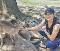  ??  ?? FEEDING eastern grey kangaroos at Lone Pine Koala sanctuary.