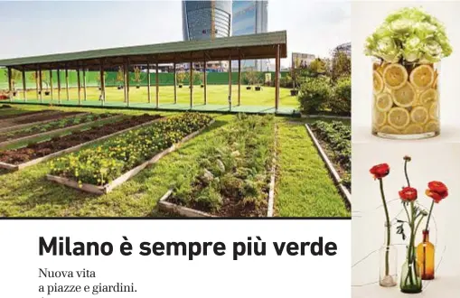  ??  ?? Qui sotto, Orti Fioriti CityLife, location degli appuntamen­ti di Io donna durante Green City Milano: tra questi, le lezioni di composizio­ne di bouquet (a destra). In basso, lo chef Davide Oldani, che terrà la lezione di conserve.