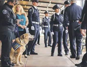  ?? Irfan Khan Photograph­s by Los Angeles Times ?? HAWTHORNE POLICE OFFICER Lameka Bell, left, with Scottie, who serves as a facility dog, comforting victims of crime, officers and others who have suffered trauma. “It’s wonderful to see him work,” Bell says.