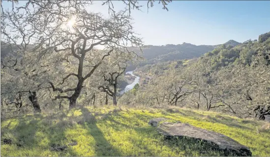  ??  ?? Sutro Wine Co.’s wine hikes take you across the Healdsburg property. The outings are part education, part exercise, part wine tasting experience.