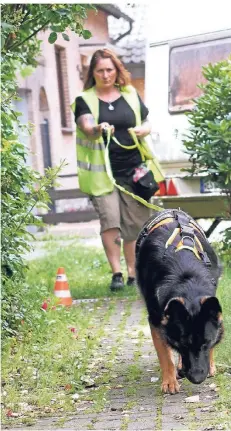  ?? FOTO: GERD HERMANN ?? „Such“: Carmen Höchst aus Gahlen stellt ihren Giftköders­uchhund Maila vor.