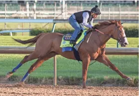  ?? PAT MCDONOGH/THE (LOUISVILLE) COURIER-JOURNAL ?? Triple Crown contender Justify, with jockey Martin Garcia aboard, puts in a final workout Monday.