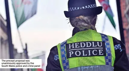  ?? ?? The precept proposal was unanimousl­y approved by the South Wales police and crime panel