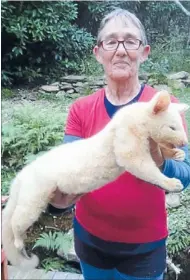  ??  ?? Rare possum: Keran Duley holds an adult male albino possum killed in a trap at Endeavour Inlet.