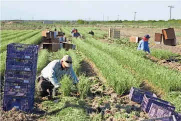  ??  ?? Por segundo año consecutiv­o, la tradiciona­l marcha no se realizó a causa de la pandemia