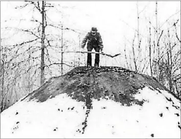  ?? SUBMITTED PHOTO ?? Historic photo of a charcoal collier at work deep in the woods.