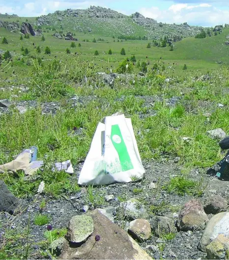  ??  ?? El científico Rick Carlson en una imagen tomada en Mongolia con ejemplos de rocas (eso sí, terrestres)