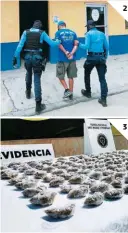  ?? FOTOS: EL HERALDO ?? (1) La FNAMP capturó a tres miembros de la MS-13 con drogas en Zarabanda. (2) En El Paraíso se ejecutaron órdenes de captura. (3) A nivel nacional se realizó decomiso de droga como ser marihuana.