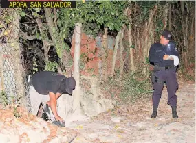  ??  ?? HOMICIDIO APOPA, SAN SALVADOR AGENTES DE INSPECCION­ES OCULARES DE LA PNC PROCESAN ESCENA EN LA VIVIENDA DE UN JOVEN AL QUE PANDILLERO­S MATARON LUEGO DE QUE LE PIDIERON ABRIR LA PUERTA PARA PASAR A UNA CANCHA.