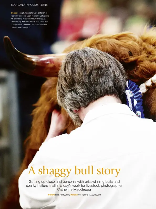  ??  ?? Image: The photograph­s were all taken at February’s annual Oban Highland Cattle sale. An emotional Maureen MacArthur leaves the sale ring with J & L Fraser and Son’s bull ‘Campbell of Tilbouries’, which was reserve overall male champion.