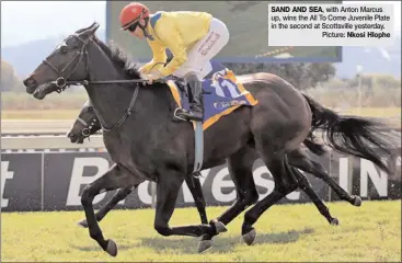  ??  ?? SAND AND SEA, with Anton Marcus up, wins the All To Come Juvenile Plate in the second at Scottsvill­e yesterday.
Picture: Nkosi Hlophe