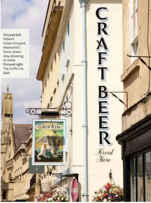  ??  ?? Pictured left:
Aldwick
Estate Vineyard; Wadworth’s horse-drawn dray delivering its wares Pictured right:
The Griffin Inn, Bath