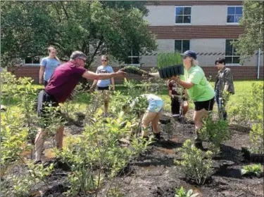  ?? EVAN BRANDT — DIGITAL FIRST MEDIA ?? Glenn Adams, science teacher at Pottstgrov­e High School, switches plants with Krista Scheirer, watershed specialist with the Montgomery County Conservati­on District, as they and a group of students plant a new water garden to keep parking lot run-off...