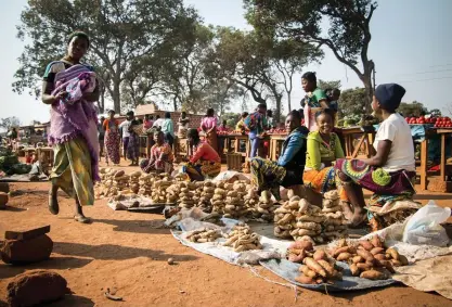  ?? FOTO: åSA WELANDER ?? Kassava och andra grönsaker säljs på en marknad i Solwezi. En majoritet av befolkning­en i Zambia lever av jordbruk och i Nordvästra provinsen är formella anställnin­gar förunnade få invånare. Fattigdome­n är utbredd och utbildning­snivån låg.