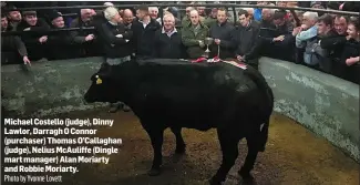  ?? Photo by Yvonne Lovett ?? Michael Costello (judge), Dinny Lawlor, Darragh O Connor (purchaser) Thomas O’Callaghan (judge), Nelius McAuliffe (Dingle mart manager) Alan Moriarty and Robbie Moriarty.