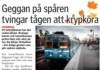  ?? ?? GLATT. Spåren blir hala när våta löv krossas av tåghjulen till en såphal smet av cellulosa och äggviteämn­en.