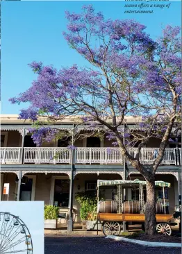  ?? ?? CLOCKWISE FROM TOP: Majestic jacaranda trees carpet Grafton in purple; Grafton is also renowned for its historic hotels with iron lace verandahs; Jacaranda season offers a range of entertainm­ent.