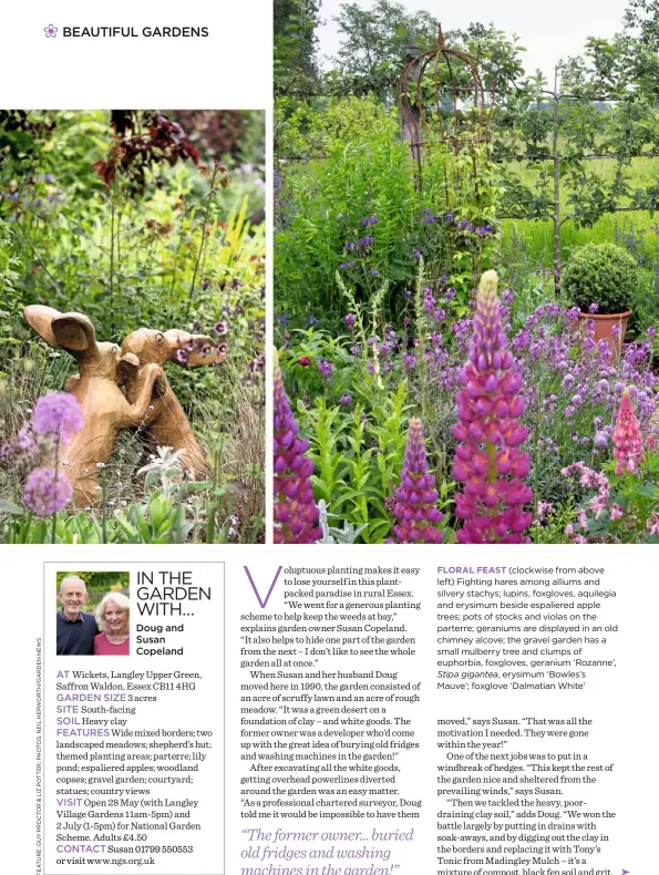  ??  ?? FLORAL FEAST (clockwise from above left) Fighting hares among alliums and silvery stachys; lupins, foxgloves, aquilegia and erysimum beside espaliered apple trees; pots of stocks and violas on the parterre; geraniums are displayed in an old chimney...