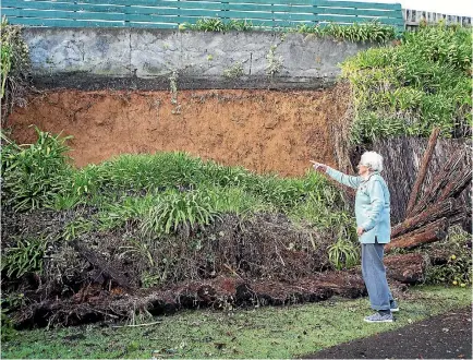  ?? GRANT MATTHEW/STUFF ?? Westown resident Elsie Thomas surveys the damage caused by heavy rain during the weekend.