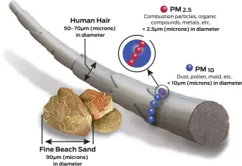  ??  ?? A graphic illustrate­s the size of particles that can contaminat­e air and cause health problems.