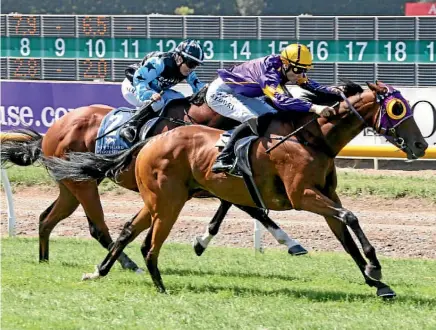  ?? PHOTO: RACE IMAGES ?? Boots ‘N’ All is equal top-weight in the Easter Handicap at Riccarton Park today.