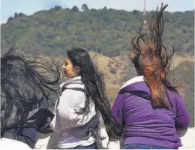  ??  ?? Ráfagas. Además de la disminució­n de temperatur­as, se prevé que las ráfagas de vientos nortes podrían derribar vallas publicitar­ias y ramas de árboles.