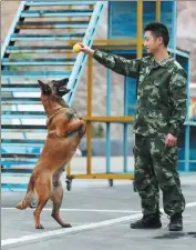  ?? JIANG HONGJING / XINHUA ?? Jiang Yuhang trains a search dog in Kaili, Guizhou province.