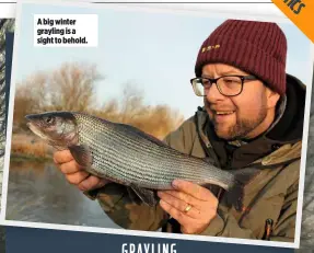  ??  ?? A big winter grayling is a sight to behold.