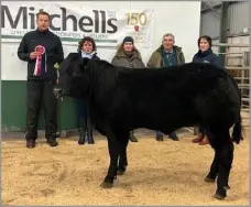  ?? ?? This Limousin cross heifer from Messrs Lamb, The How, Seascale, stood champion and made a joint top price of £3400