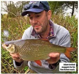  ??  ?? Adam trotted maggots for his fine Itchen roach.