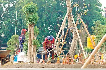  ?? AHMAD KHUSAINI/JAWA POS ?? HAMPIR RAMPUNG: Kondisi terakhir taman kawasan Rusunawa Tanah Merah, Kali Kedinding, yang akan menjadi ruang terbuka hijau baru di kawasan utara Surabaya.