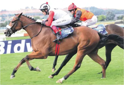  ??  ?? MOLLY’S FANCY. Irish Pride with Gavin Lerena up is one of Dave Mollett’s tips to win the World Sports Betting Grand Heritage over 1475m at the Vaal on Saturday.