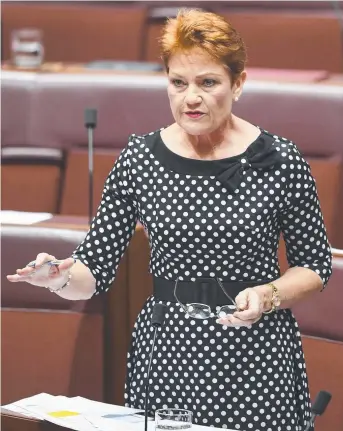  ?? SHOW US THE MONEY: Pauline Hanson wants more spent by the Federal Government on dams and water projects in the North instead of investment­s in renewable energy. ??