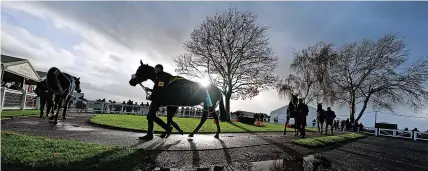  ?? David Davies/PA wire ?? Horses are paraded at Hereford racecourse after a spell of heavy rain. See Sport