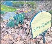  ?? Photo by Tribune-Review ?? Leaf cover provides protection for overwinter­ing insects at the Penn State Extension Master Gardeners’ demonstrat­ion gardens in Hempfield.