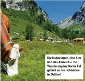  ??  ?? Die Dabaklamm, eine Alm und das Almvieh – die Wanderung ins Dorfer Tal gehört zu den schönsten in Osttirol.