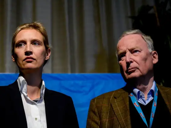  ??  ?? Alice Weidel and Alexander Gauland were chosen after the public face of the party Frauke Petry said she would no longer be available (Getty)