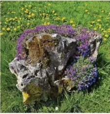  ?? @heidenheim­er_zeitung ?? „Die schönsten Steingärte­n gestaltet die Natur selbst“– schreibt Leser Claus Lehnen zu seinem Foto. Mehr Leserfotos täglich neu auf Instagram