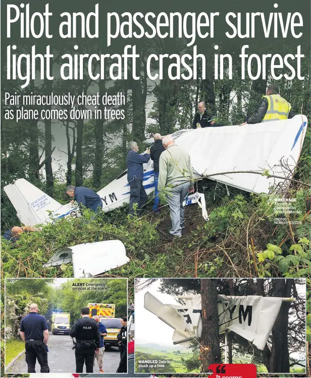  ??  ?? MANGLED Debris stuck up a tree ALERT Emergency services at the scene WRECKAGE Aircraft in Castlewell­an forest yesterday PHOTOS: NEWRAYPICS.COM