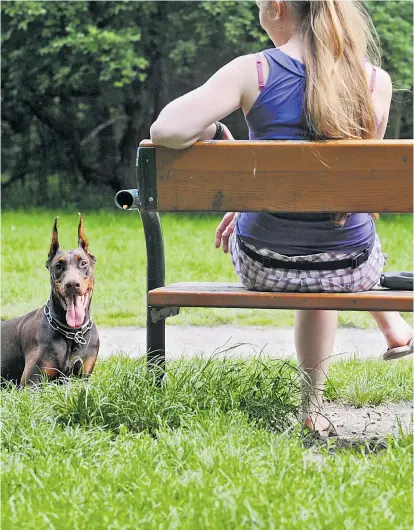  ??  ?? An der Jesuitenwi­ese im Prater ist klar, welche Zonen den Hunden und welche den Kindern gehören. Unklar ist hingegen, welche Rolle Alkohol in Zukunft spielen wird.