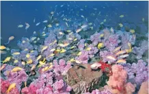  ?? | DENNIS KING ?? “LANDERS Reef” near Park Rynie on KZN’S South Coast, in all its glory.
