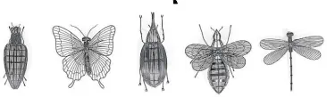  ??  ?? Metal-wired “Bugs in Black” by Prado Artisans