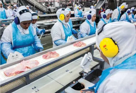  ??  ?? DIVERSIFIC­ACIÓN. En su afán de reducir la dependenci­a de Estados Unidos, México encuentra una oportunida­d en la importació­n de carne de pollo provenient­e de Brasil.