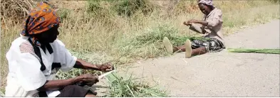  ??  ?? Ms Ebbie Mpofu (74) and Ms Sisiliya Bhebhe (66) (right) both from Mpopoma suburb sort reeds along Mpopoma Avenue in Bulawayo on Tuesday. They harvest the reeds from a streambank between Thorngrove and Mpopoma suburbs to make reeds mats.— (Picture by...